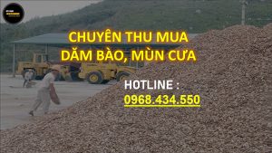 dăm bào, coffa, cnc, phế liệu gỗ, ván ép giá tốt nhất thị trường toàn quốc