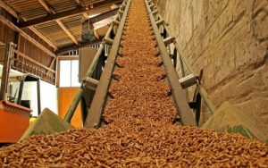 Cần bán dăm bào