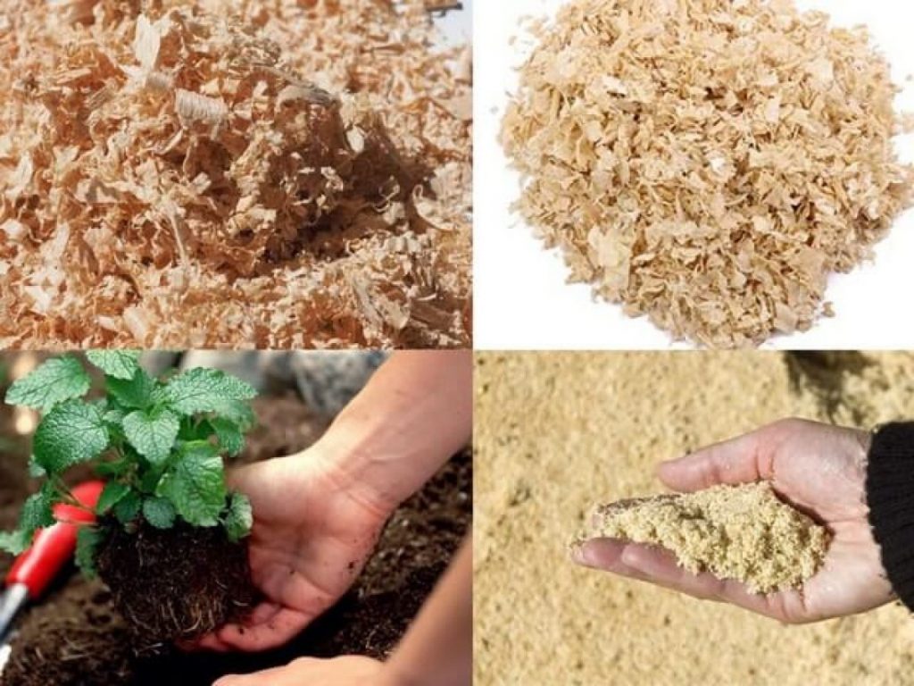 Cần bán mùn cưa