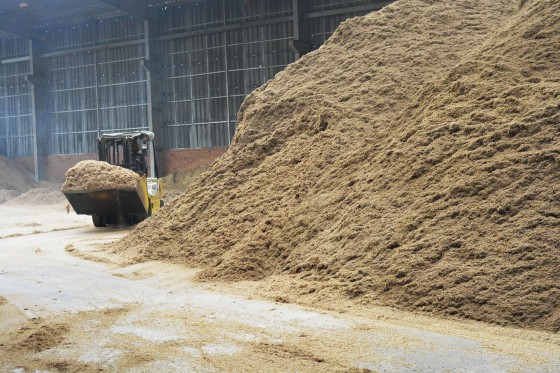 Thu mua mùn cưa, dăm bào quận 9