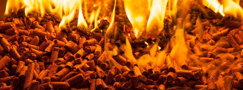 nơi thu mua mùn cưa ở Đồng Nai