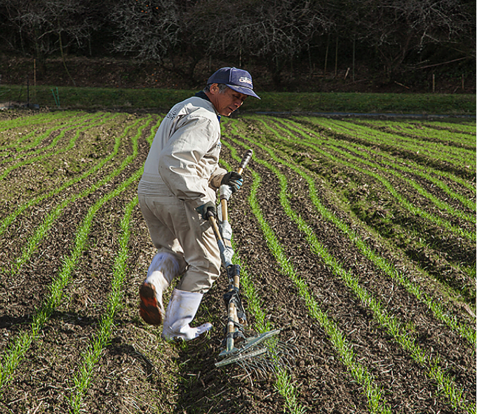 Thu mua mùn cưa Thủ Dầu Một Đức Mạnh