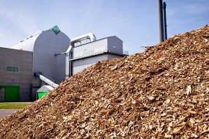 Xưởng thu gom gỗ vụn quận tp.hcm ở tại quận 1, 2, 3, 4, 5, 6, 7, 8, 9, 10, 11, 12