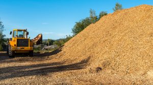 Thu mua gỗ vụn, phế liệu gỗ ở tại Tây Nguyên, Kon Tum, Gia Lai, Đắk Lắk, Đắk Nông và Lâm Đồng giá tốt.