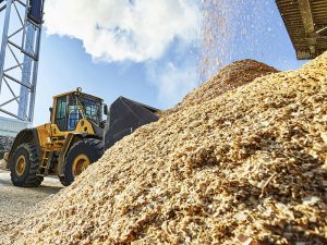 thu mua dăm bào mùn cưa, thu gom dăm bào mùn cưa uy tín