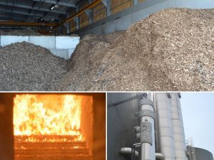 nơi bán dăm bào và mùn cưa