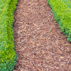 phế liệu gỗ, gỗ vụn, bột gỗ giá rẻ