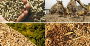 mùn cưa và củi tạp, gỗ cũ,