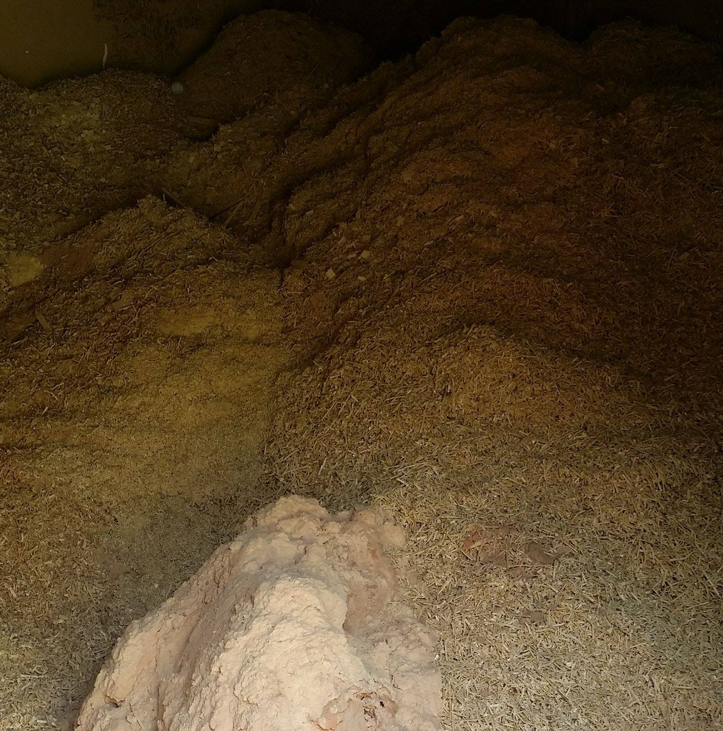 công ty Đức Mạnh