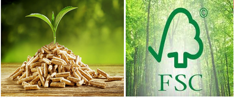 Công ty chuyên thu mua phế liệu gỗ gán ép vụn Đức Mạnh