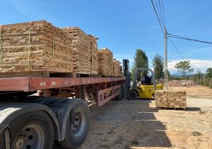vận chuyển gỗ vụn đức mạnh