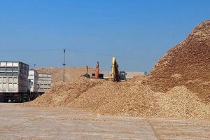 nơi thu mua dăm bào mùn cưa