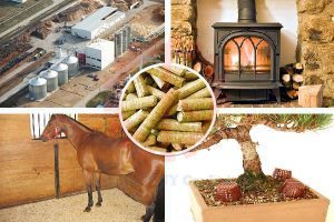 công dụng của viên nén gỗ