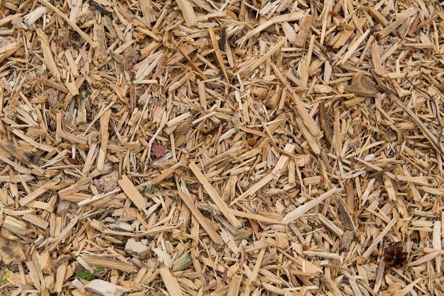 Thu mua phế liệu giá cao, thu mua gỗ vụn tận nơi, mua mùn cưa khô, báo giá dăm bào mới nhất, thu gom phế liệu gỗ gần đây, mua gỗ phế phẩm xưởng mộc