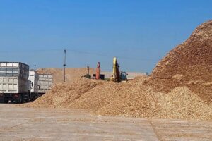 Thu mua gỗ vụn gần đây Quận 1, 2, 3, 4, 5, 6, 7, 8, 9, 10, 11, 12, Tân Bình, Bình Thạnh, Tân Phú, Phú Nhuận, TPHCM, Củ Chi, Thủ Đức, Bình Dương, Dĩ An, Thuận An với giá cao và thu gom tận nơi.