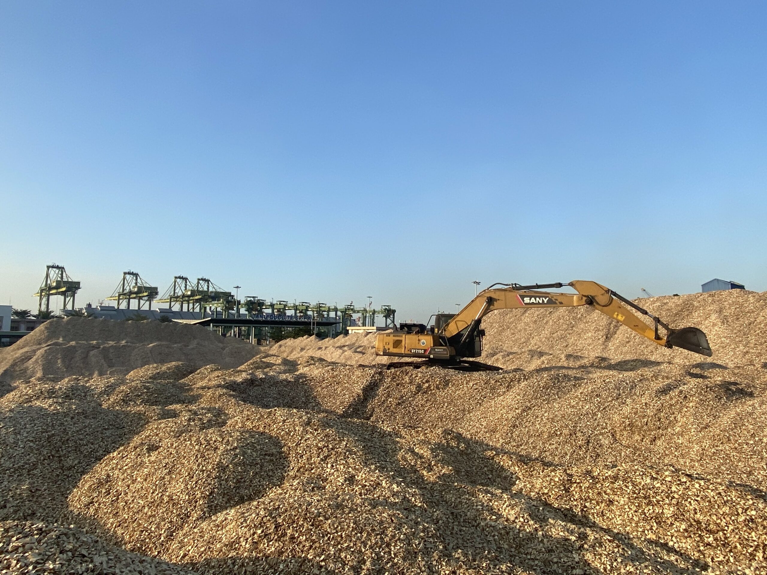 Dăm bào là gì? c